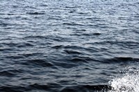 Pernambuco adere ao PROCOMITÊS e pode receber até R$ 2,1 mi até 2023