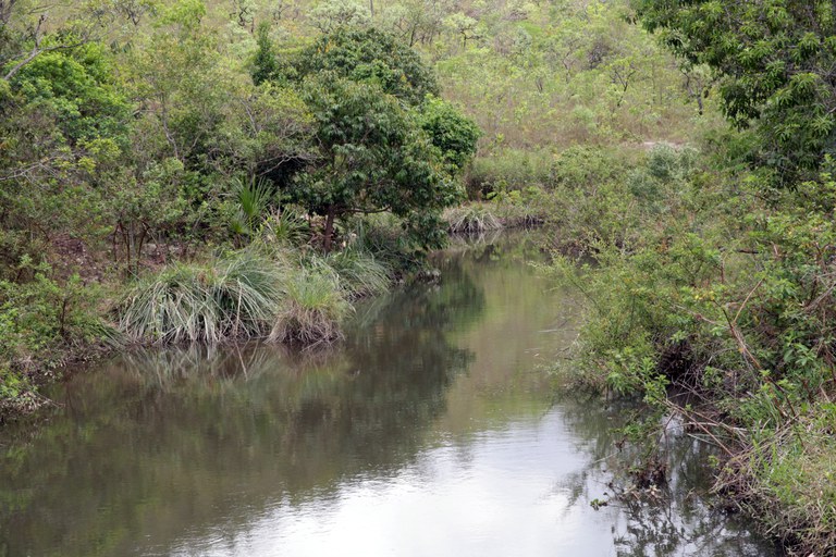 Ribeirão Pipiripau (DF)