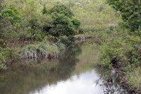 Produtor de Água no Pipiripau recebe inscrições para pagamento por serviços ambientais