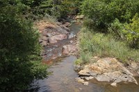 Projeto Produtor de Água no Pipiripau lança edital para novas contratações