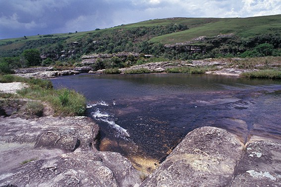 PARN_016 CG1716- Rio São Jorge - Campos Gerais - PR - Zig Koch.jpg
