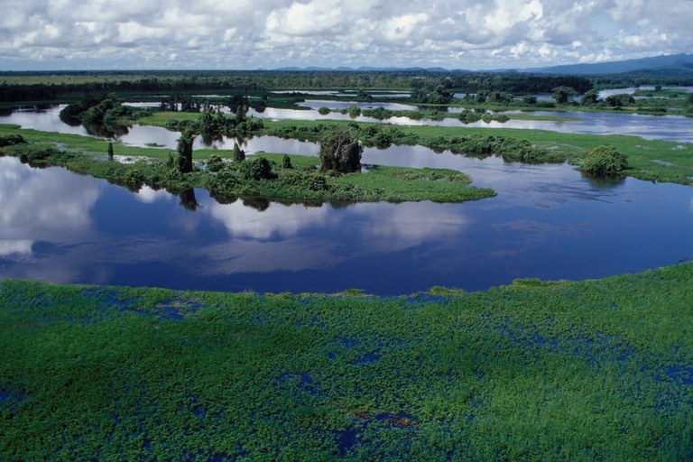 parg_117-pa2709-pantanal-proximo-de-corumba-ms-zig-koch.jpg