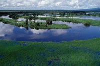 Resolução permite volta da análise de outorgas para novos aproveitamentos hidrelétricos na bacia do rio Correntes (MS/MT)