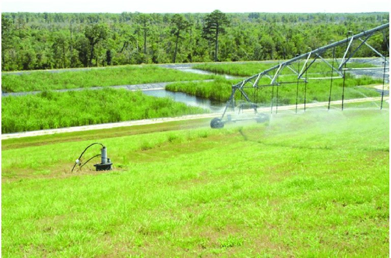 Reúso de efluentes na irrigação