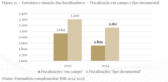 Estrutura e atuação dos fiscalizadores - Fiscalização em campo e tipo documental