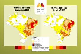 Área impactada pela seca aumenta no Sul, fica estável no Norte e Nordeste e diminui no Centro-Oeste e Sudeste. Brasil segue com o fenômeno em 63% de seu território.