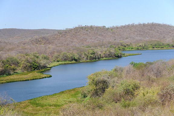 ANOR_065 D-CE0267- Açude - CE284 - Jucás - CE - Zig Koch.jpg