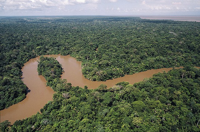 Foz do rio Amazonas (PA)