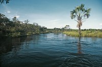 Tocantins formaliza participação de comitês de bacias no PROCOMITÊS