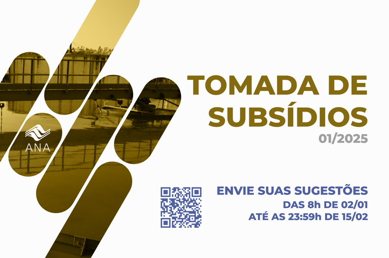 tomada de subsidios 012025.png