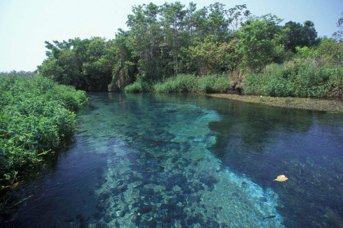 PARG_017 MSB1009- Rio Sucuri - Bonito - MS - Zig Koch copiar.jpg