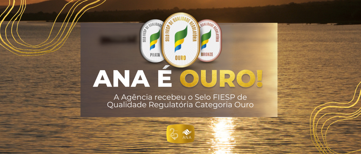 banner site - ANA é ouro!.png