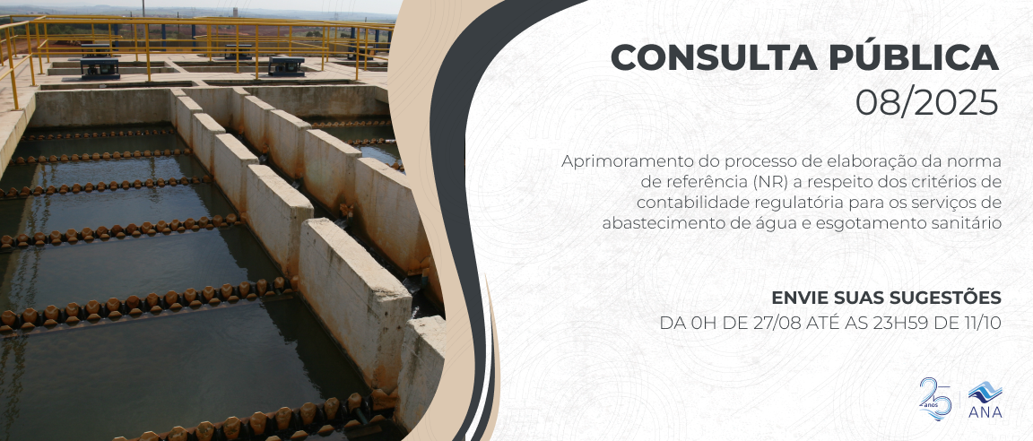 consulta-publica-site-08-2025.png