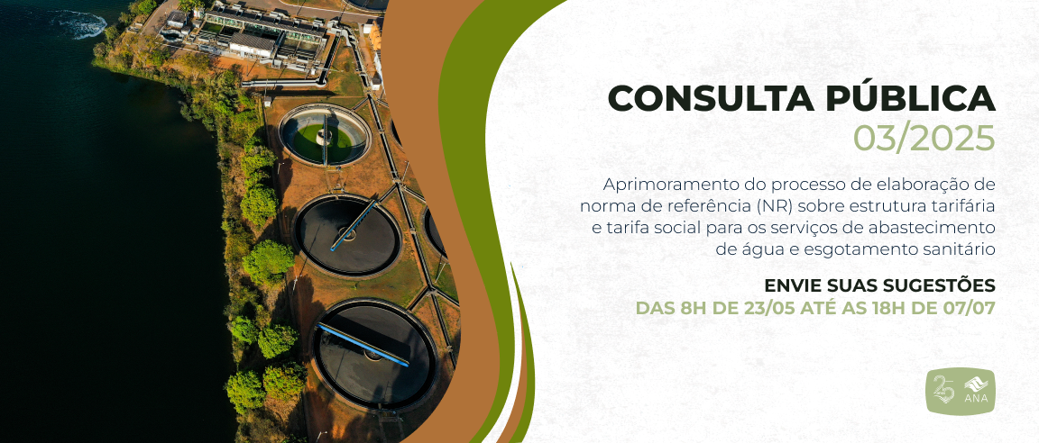 site-consulta-publica-03-2025.png