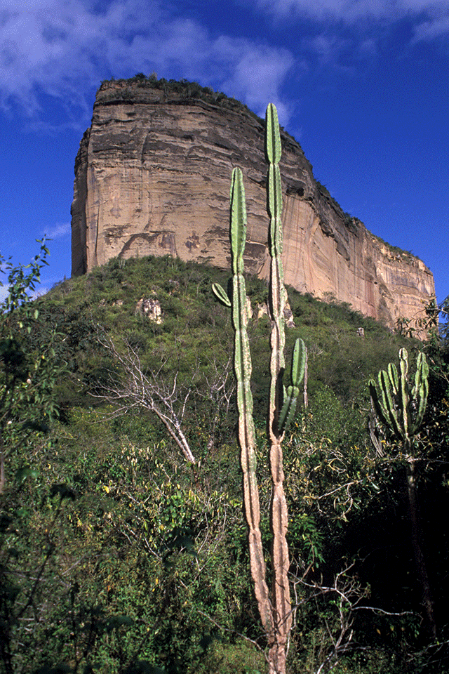 Serra Branca - Raso da Catarina (BA)