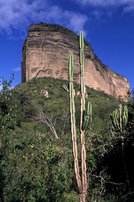 Serra Branca - Raso da Catarina (BA)