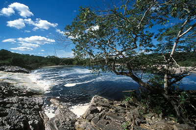 Marimbus - Chapada Diamantina (BA)