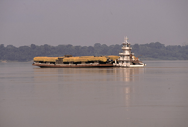 Rio Madeira (RO) - Rui Faquini/Banco de Imagens ANA