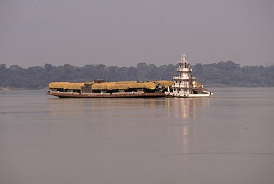 Rio Madeira (RO) - Rui Faquini/Banco de Imagens ANA