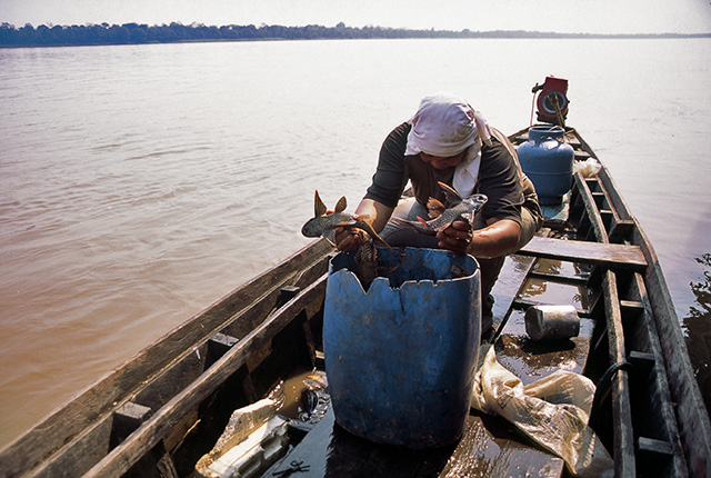 Rio Madeira (RO) - Rui Faquini/Banco de Imagens ANA