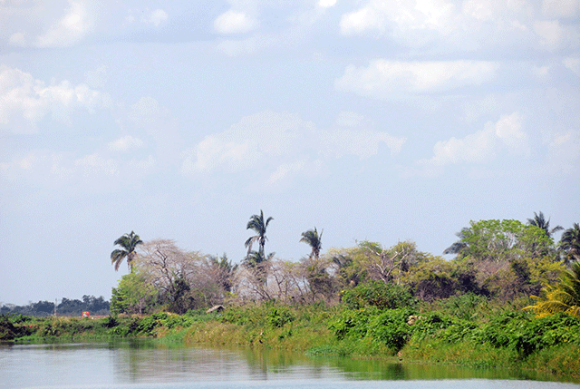 Riacho (MA) - Zig Koch / Banco de Imagens ANA