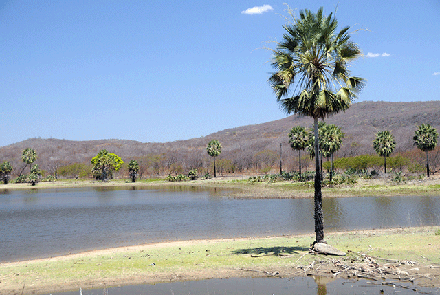 Açude entre Antonina do Norte e Jucás (CE) - Zig Koch / Banco de Imagens ANA