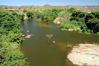 Rio Conceição (CE) - Zig Koch / Banco de Imagens ANA
