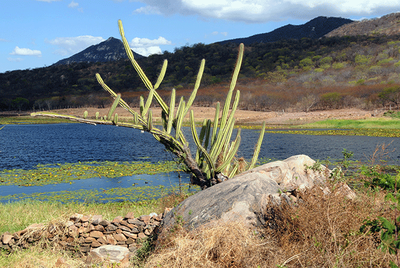 Serra entre Caicó e Jucurutu (RN) - Zig Koch / Banco de Imagens ANA