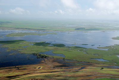 Áreas de restinga inundáveis (ES)