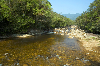Rio Nhundiaquara (PR) - Zig Koch / Banco de Imagens ANA