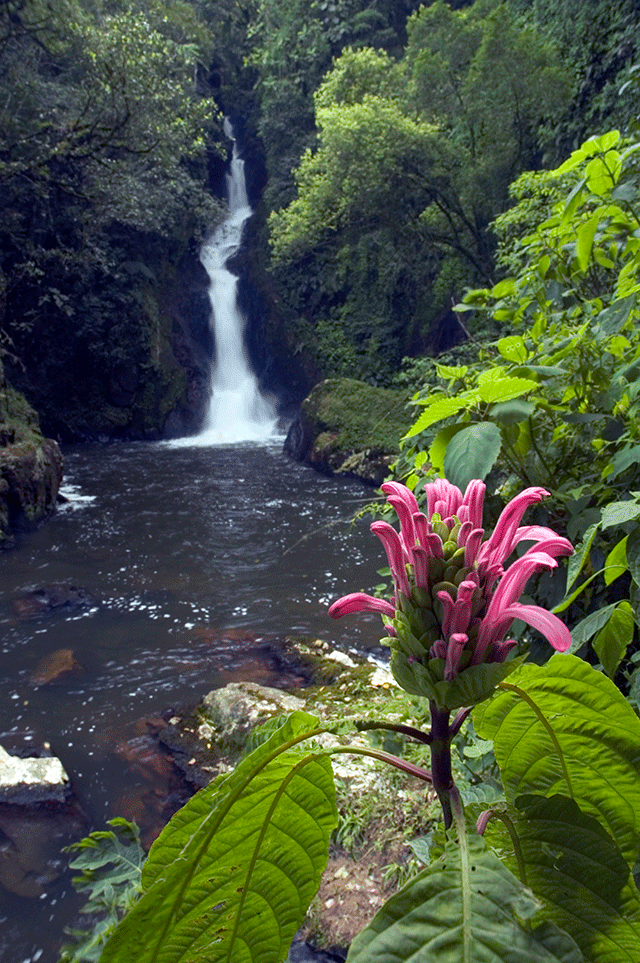 Cachoeira 13 (SC) - Zig Koch / Banco de Imagens ANA