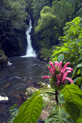 Cachoeira 13 (SC) - Zig Koch / Banco de Imagens ANA