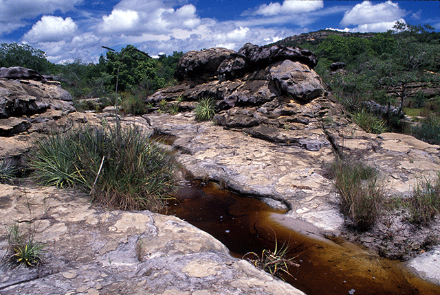 Riacho - Parque Nacional de Sete Cidades (PI)