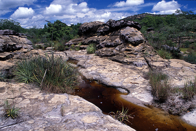 Riacho - Parque Nacional de Sete Cidades (PI)