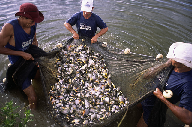 Criação de Peixes - Sangrelândia (GO) -  Rui Faquini/Banco de Imagens ANA