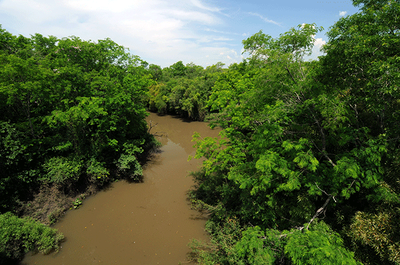Rio Urucuati (RS) - Zig Koch / Banco de Imagens ANA
