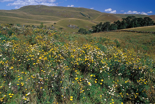 Fazenda Cachoeira dos Rodrigues (SC) - Zig Koch / Banco de Imagens ANA
