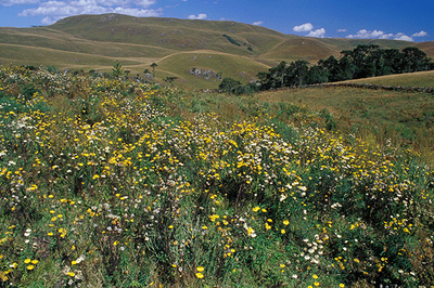 Fazenda Cachoeira dos Rodrigues (SC) - Zig Koch / Banco de Imagens ANA
