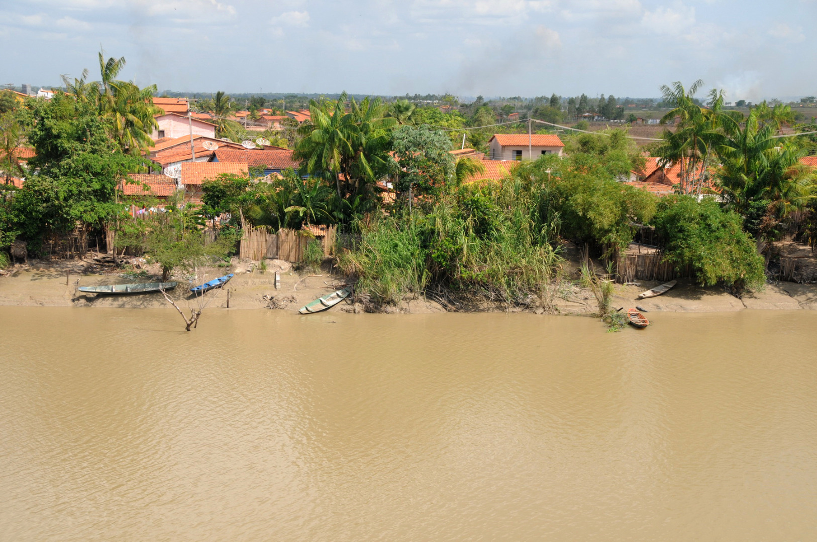 ANOC_079 D-MA0554- Rio Mearim - Ararí - MA - Zig Koch  copiar.jpg