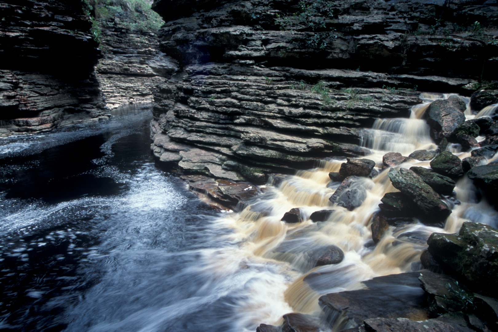 ATLE_099 ND506- TRILHA PARA A CACHOEIRA DO BURACÃO - Chapara Diamantina - BA - Zig Koch copiar.jpg