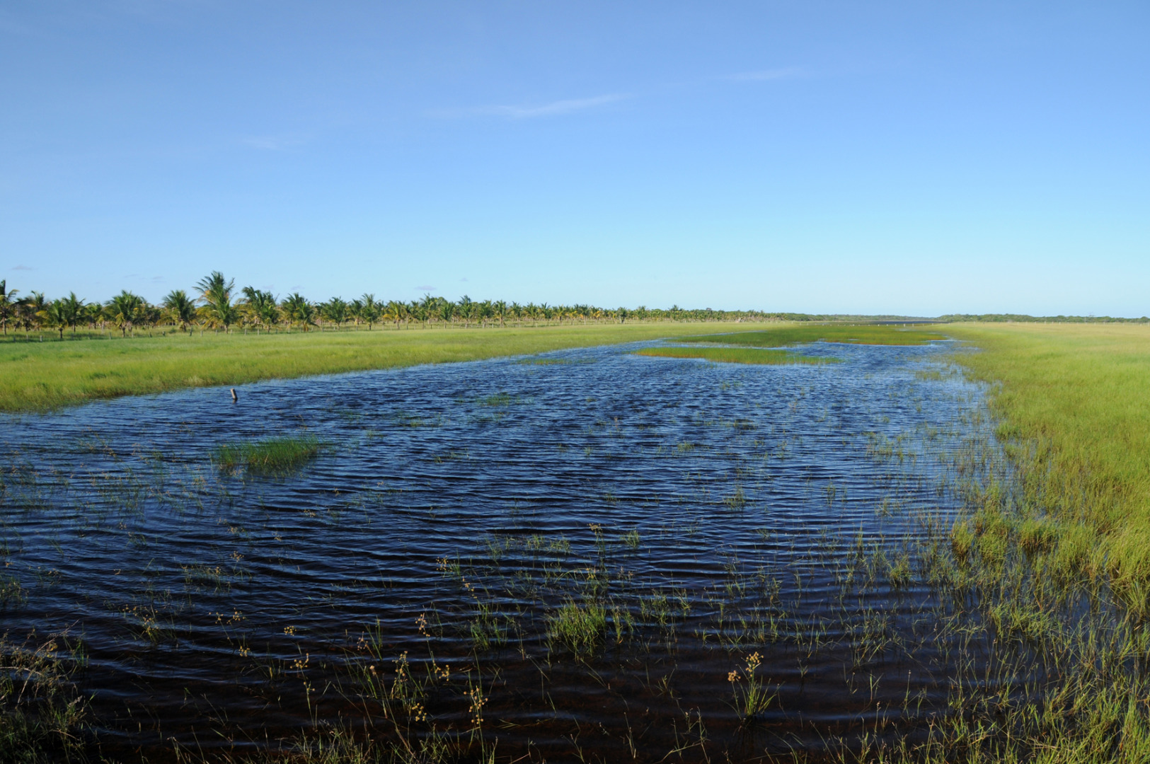 ATSD_073 D-ES1388- Lagoas naturais próximas a Regância - ES - Zig Koch copiar.jpg