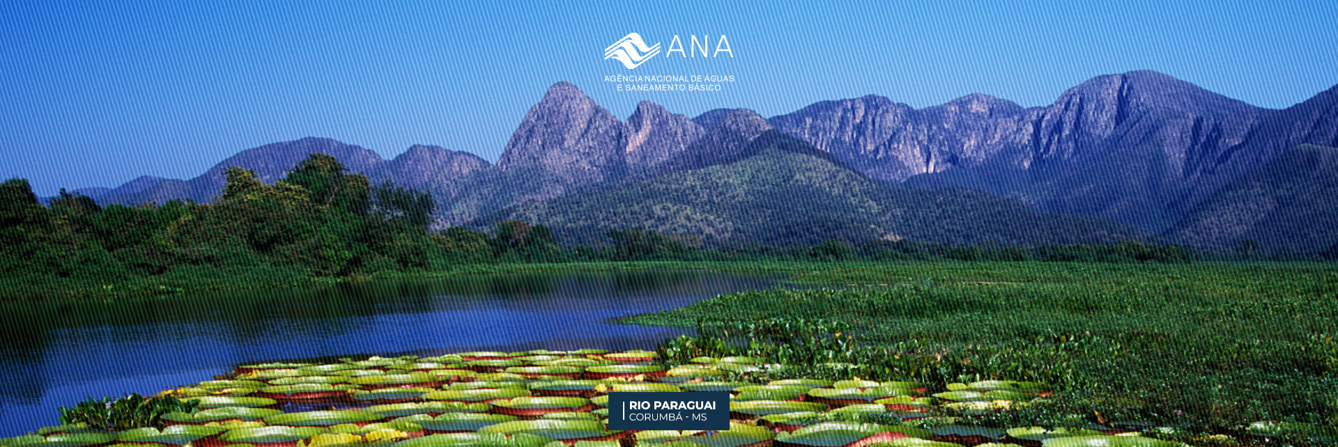 b_principal_site_ana_paraguai.jpg