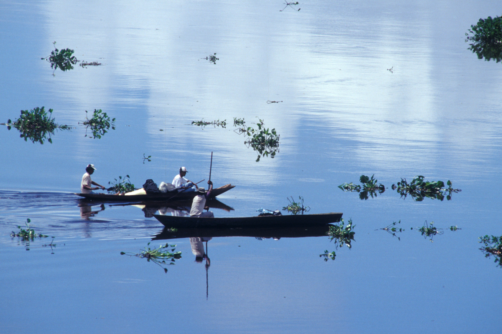 PARG_053 PA1123- Rio Paraguai - Pantanal - MS - Zig Koch copiar.jpg