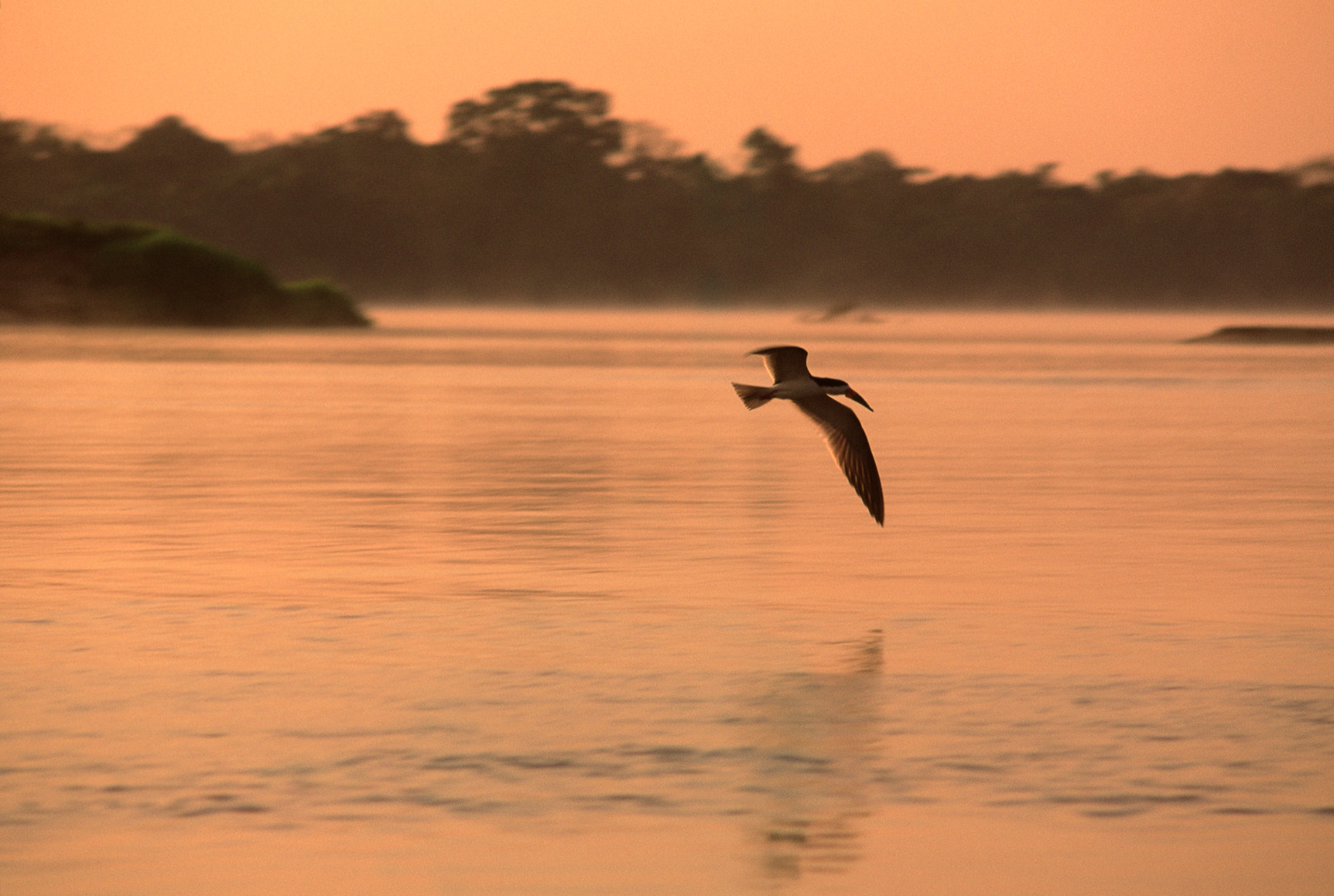 TOCA_030 307go009 -  Rio Araguaia - GO - Rui Faquini copiar.jpg