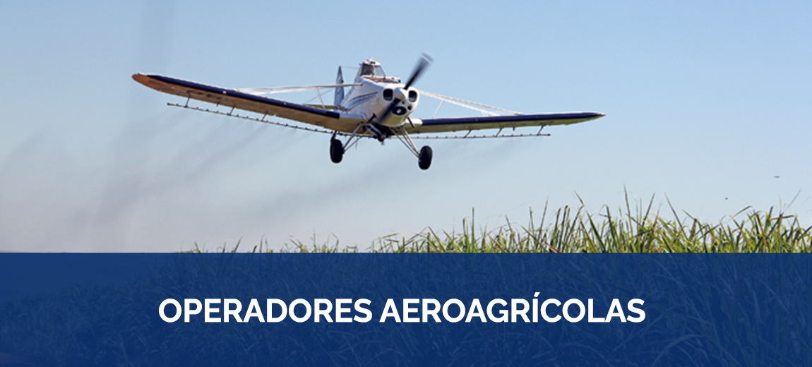 Castor Becker Júnior - Sindicato Nacional das Empresas de Aviação Agrícola (SINDAG), 2013.