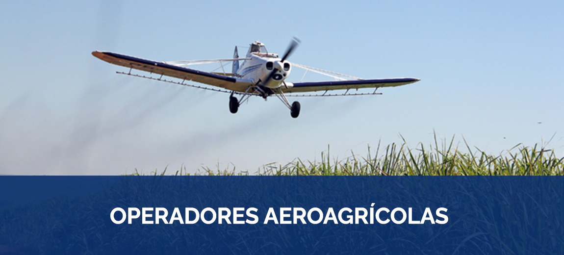 Castor Becker Júnior - Sindicato Nacional das Empresas de Aviação Agrícola (SINDAG), 2013.