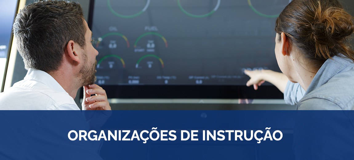 organizações de instrução