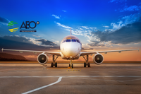 Projeto OEA-ANAC para facilitação e segurança do transporte de carga aérea avança