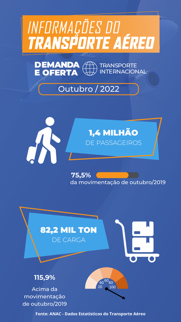 Foto: Reprodução/Anac