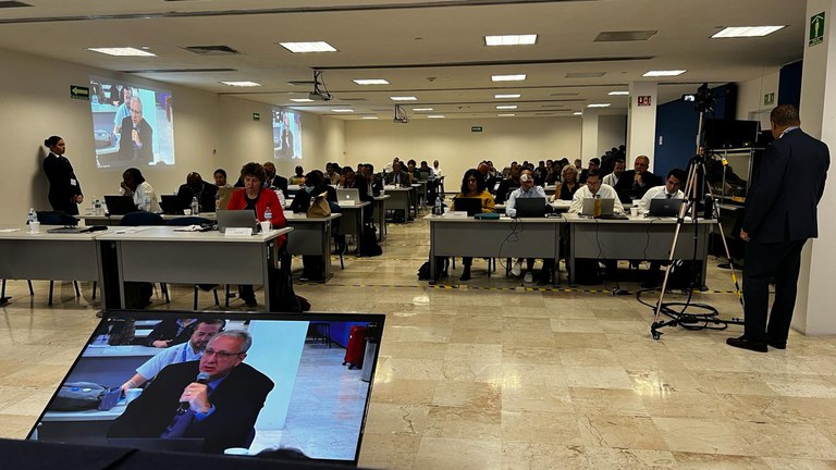 WhatsApp Image 2024-03-01 at 17.41.42.jpeg